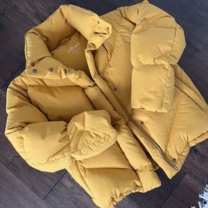 Aritzia Wilfred Cloud Puff